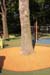 7 - CORNICE ALBERO I#767000